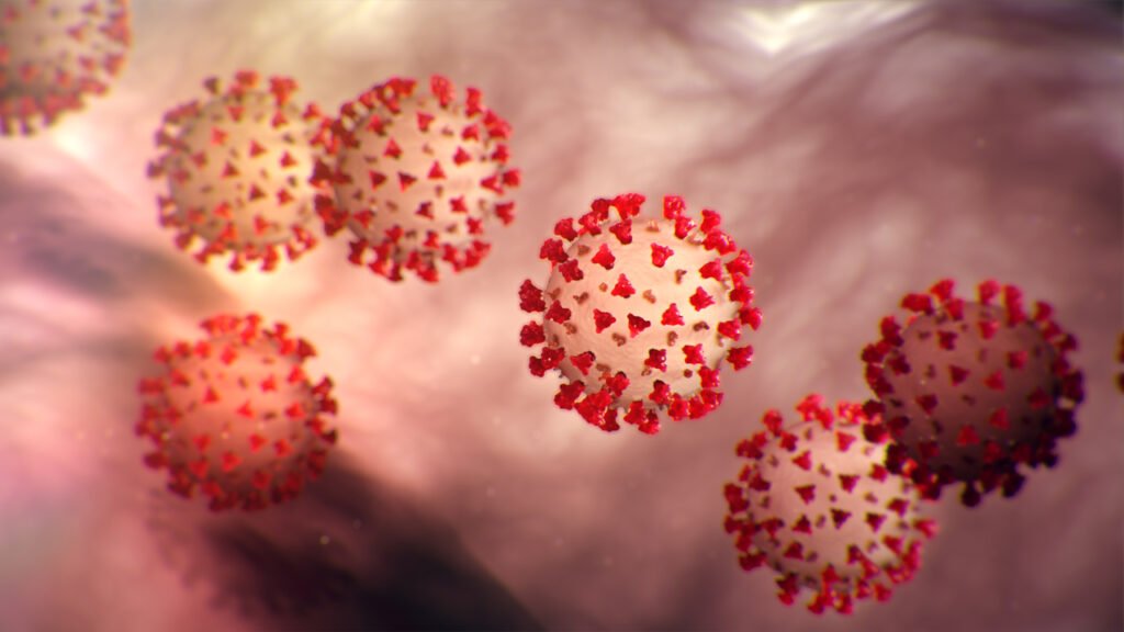 Corona Virus Cases in Pakistan