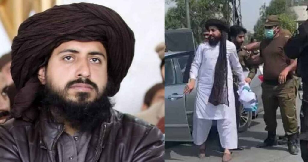 TLP and Business of the State