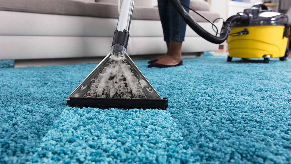 Professional Carpet Cleaning Services - DOTX.PK